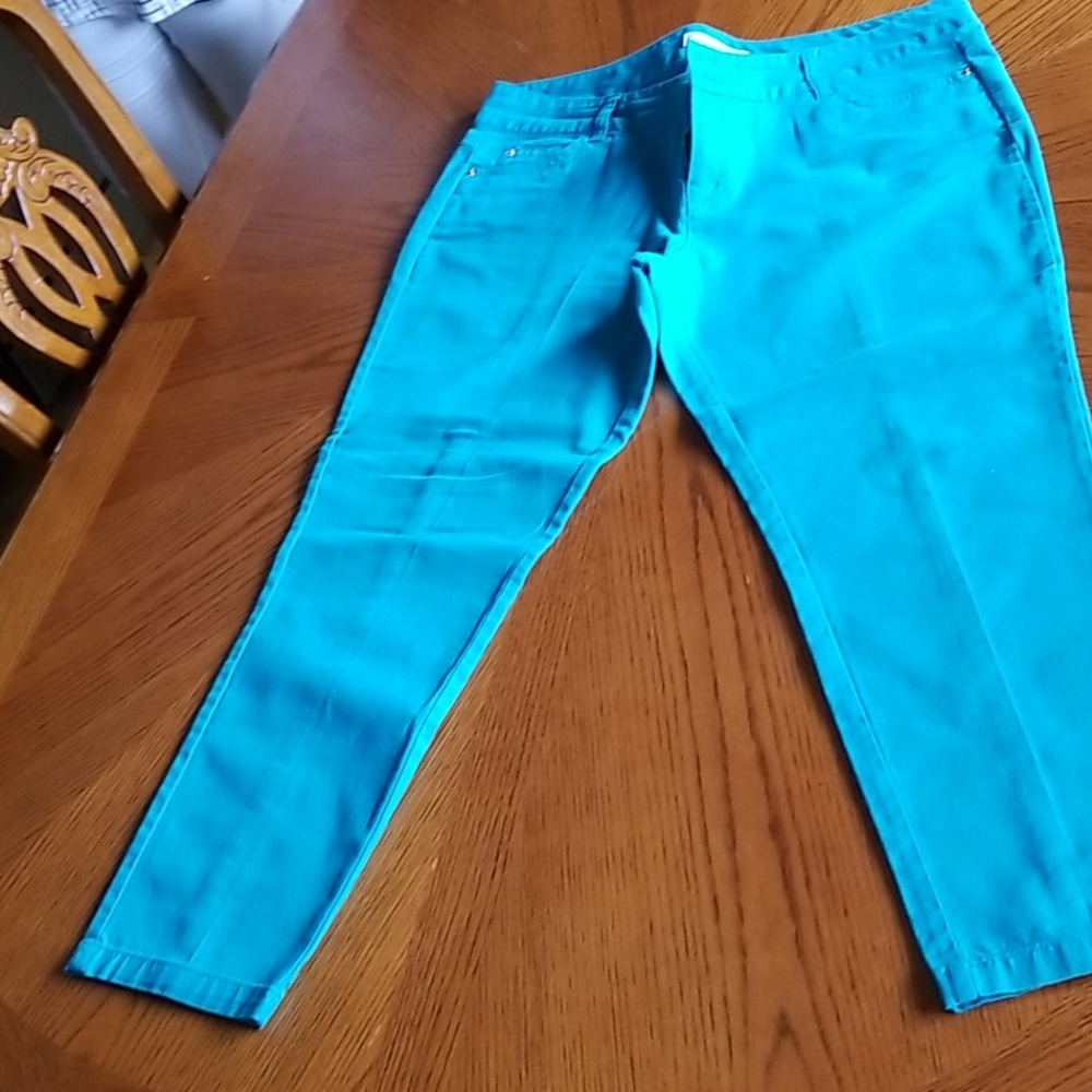 Michael Kors size 14 ankle pants